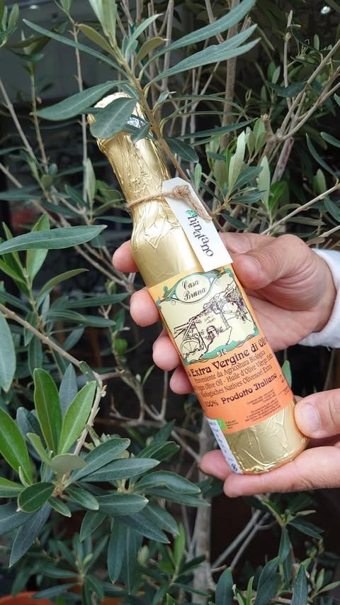 有機エキストラヴァージンオリーブオイル<BR>250ml　カーサ・ブルーナ<BR>【常温】