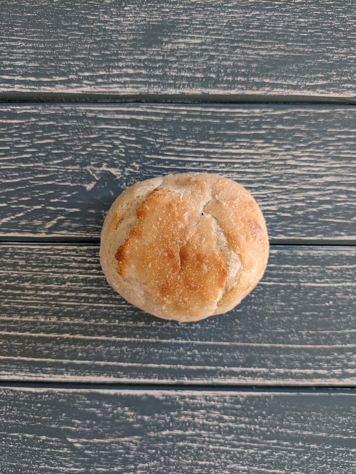 有機古代小麦白パン(バンズ)<BR>天然酵母石窯焼き<BR>✨柔らか目の焼きでバンズとしても!